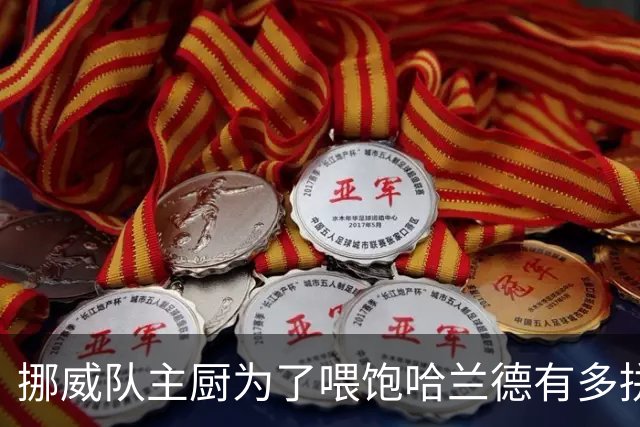 挪威队主厨为了喂饱哈兰德有多拼？他每天要补充6000卡路里热量，进入淘汰赛后球队紧急订购食材