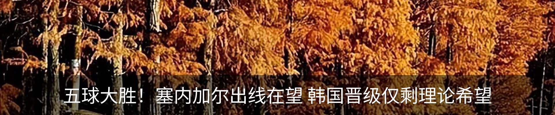 新闻中心